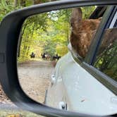 Review photo of Hickory Ridge Campground — Hoosier National Forest by Jennifer K., October 25, 2021