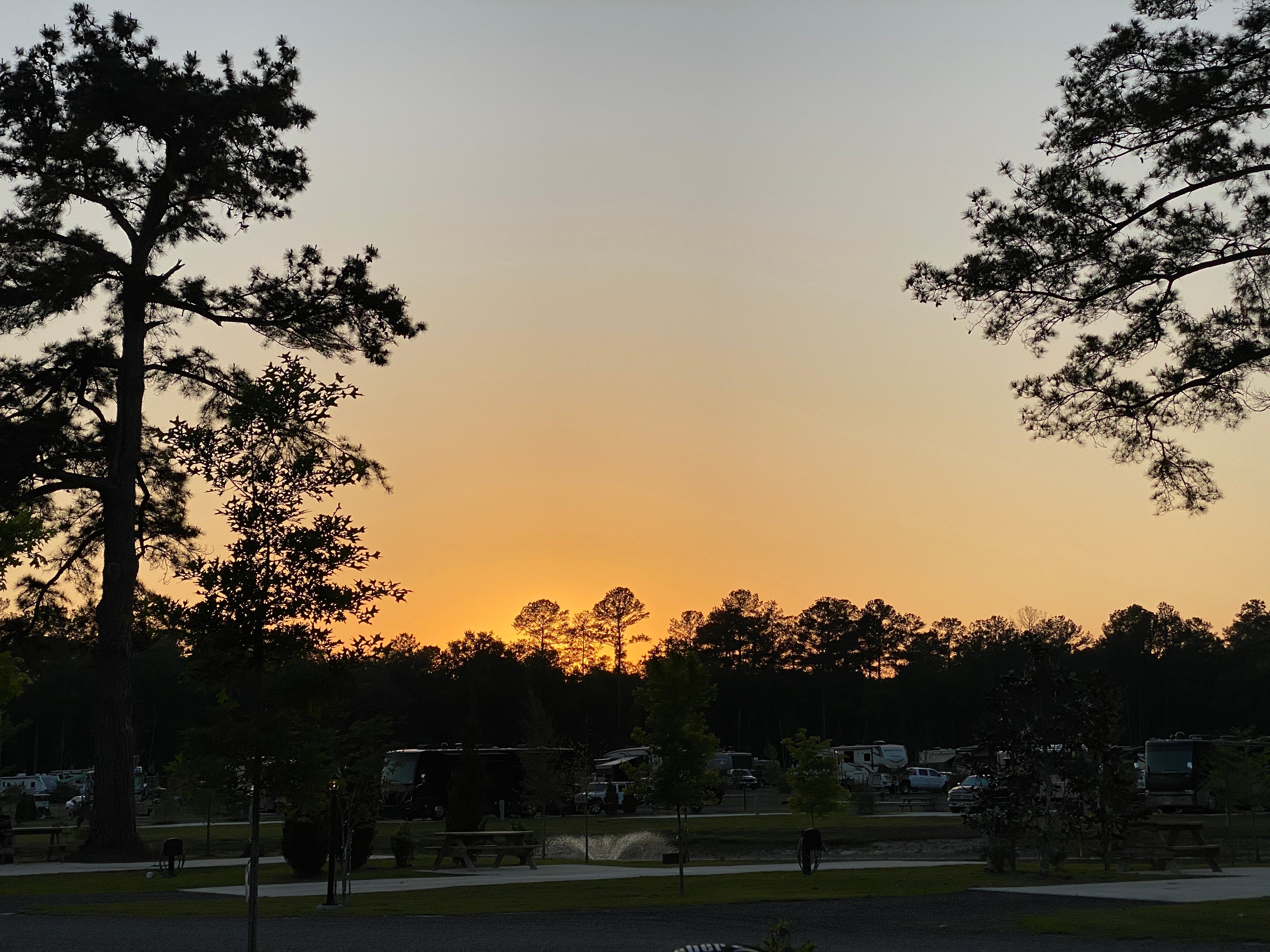Camper submitted image from Madison Golf & RV Resort - 3