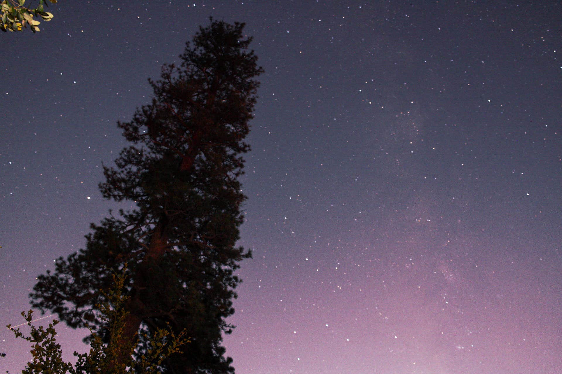 Camping near Cooper Canyon Trail Camp: Angeles National Forest Deer Flats Group Campground, Valyermo, California