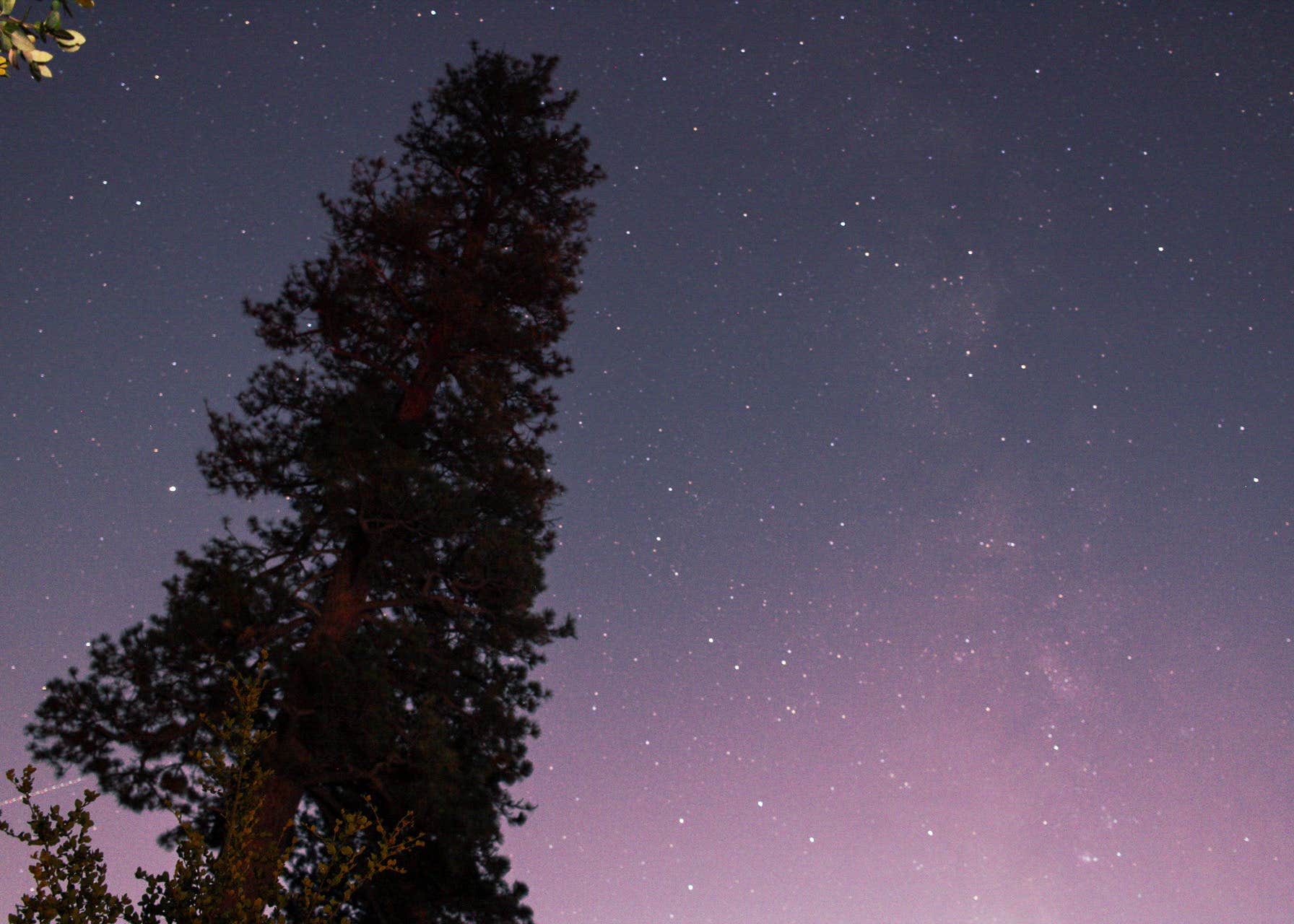 Angeles National Forest Deer Flats Group Campground Camping The Dyrt