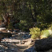 Review photo of Angeles National Forest Deer Flats Group Campground by Freddy L., October 25, 2021