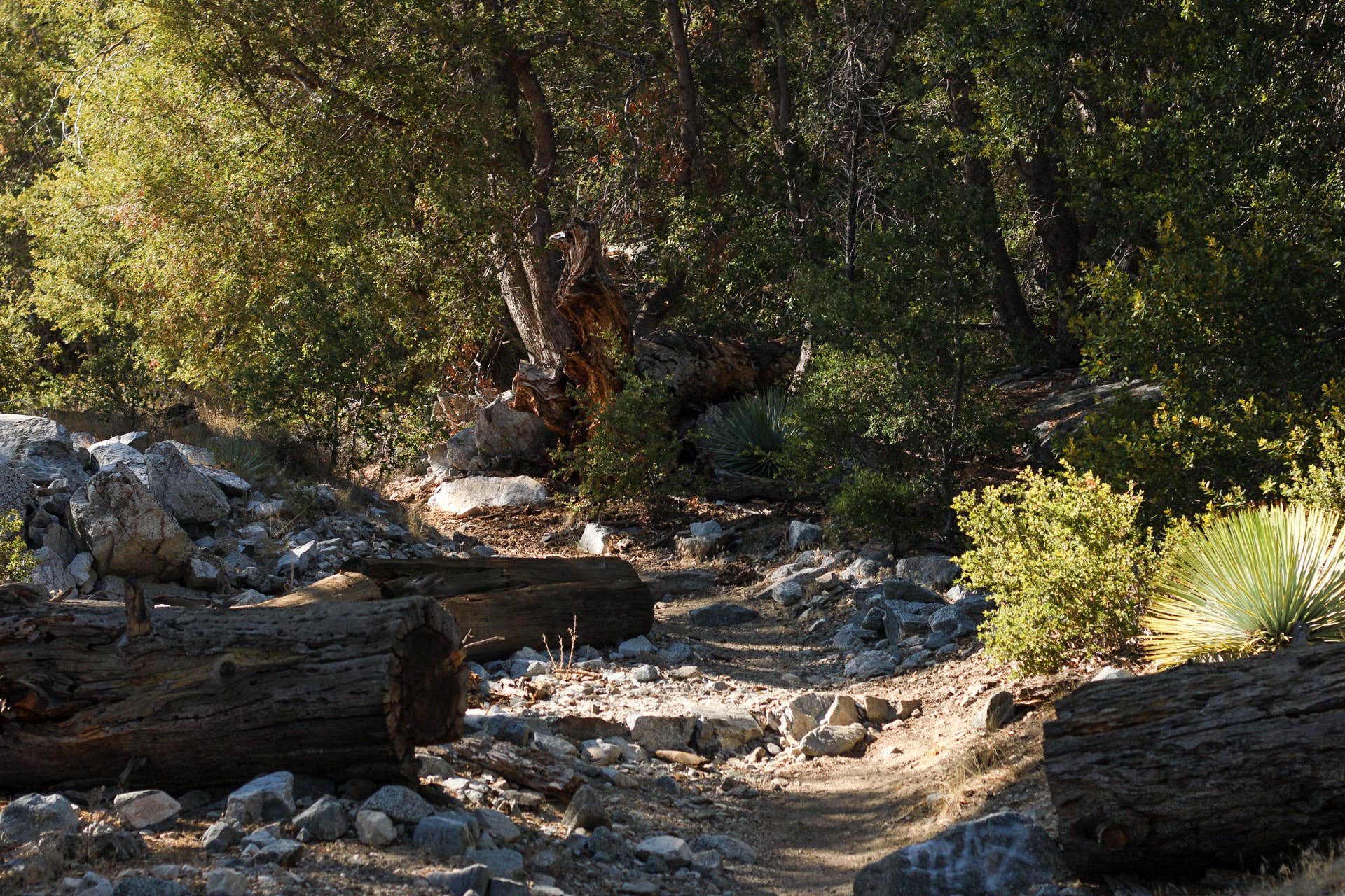 Camper submitted image from Angeles National Forest Deer Flats Group Campground - 4