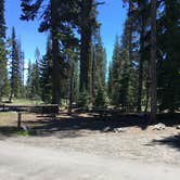Review photo of Mazama Village Campground — Crater Lake National Park by Celina M., June 28, 2018