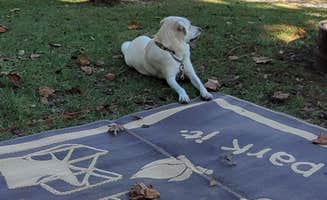 Julie K.'s photo of camping with pets at Laura Ingalls Wilder RV Park near Plato, MO