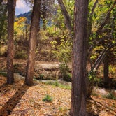 Review photo of Ouray KOA by Kristina B., October 16, 2021