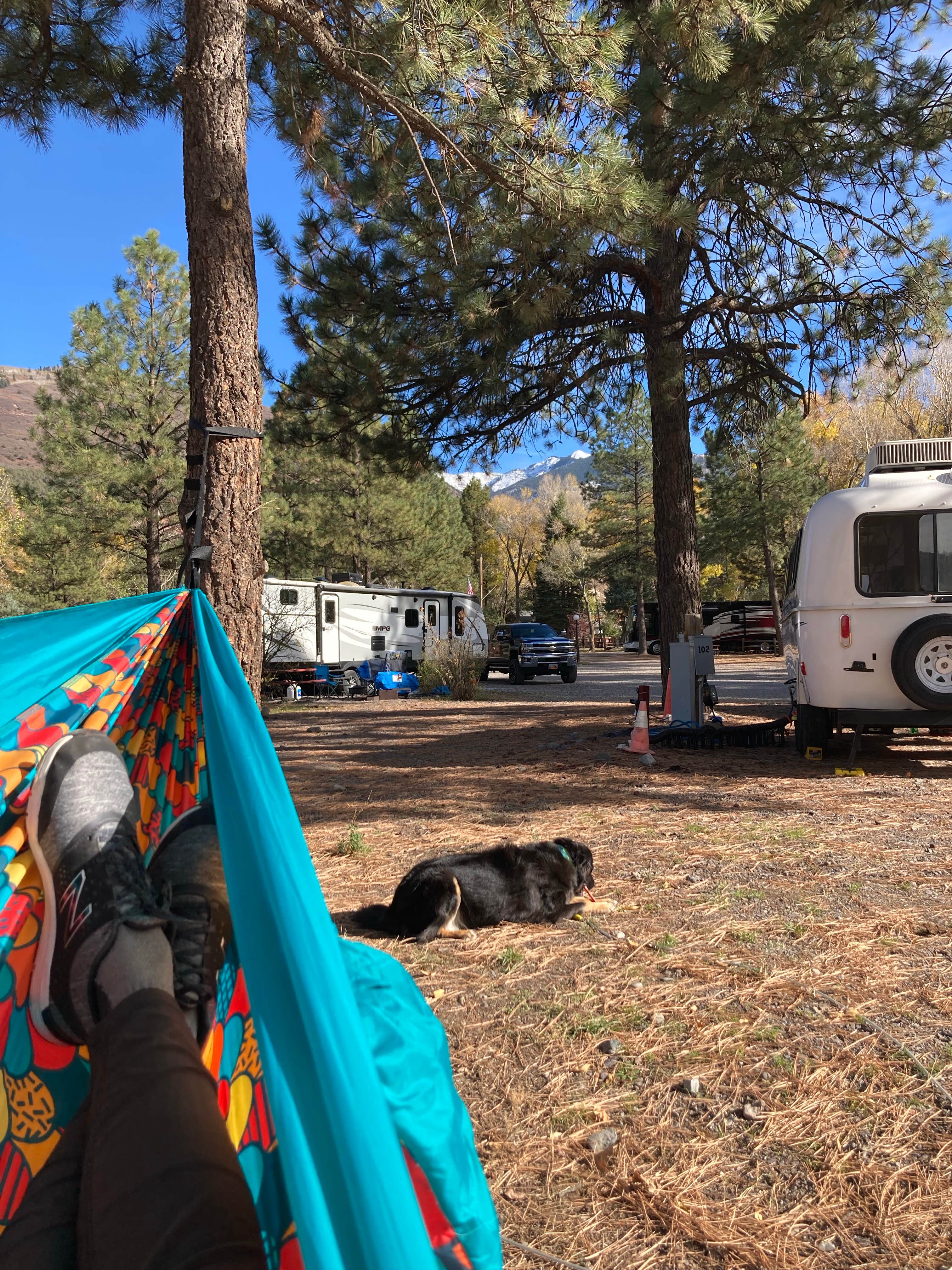 Kristina B.'s photo of camping with pets at Ouray KOA near Ridgway, CO