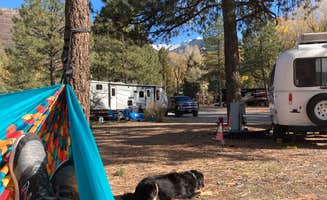 Kristina B.'s photo of camping with pets at Ouray KOA near Ridgway, CO