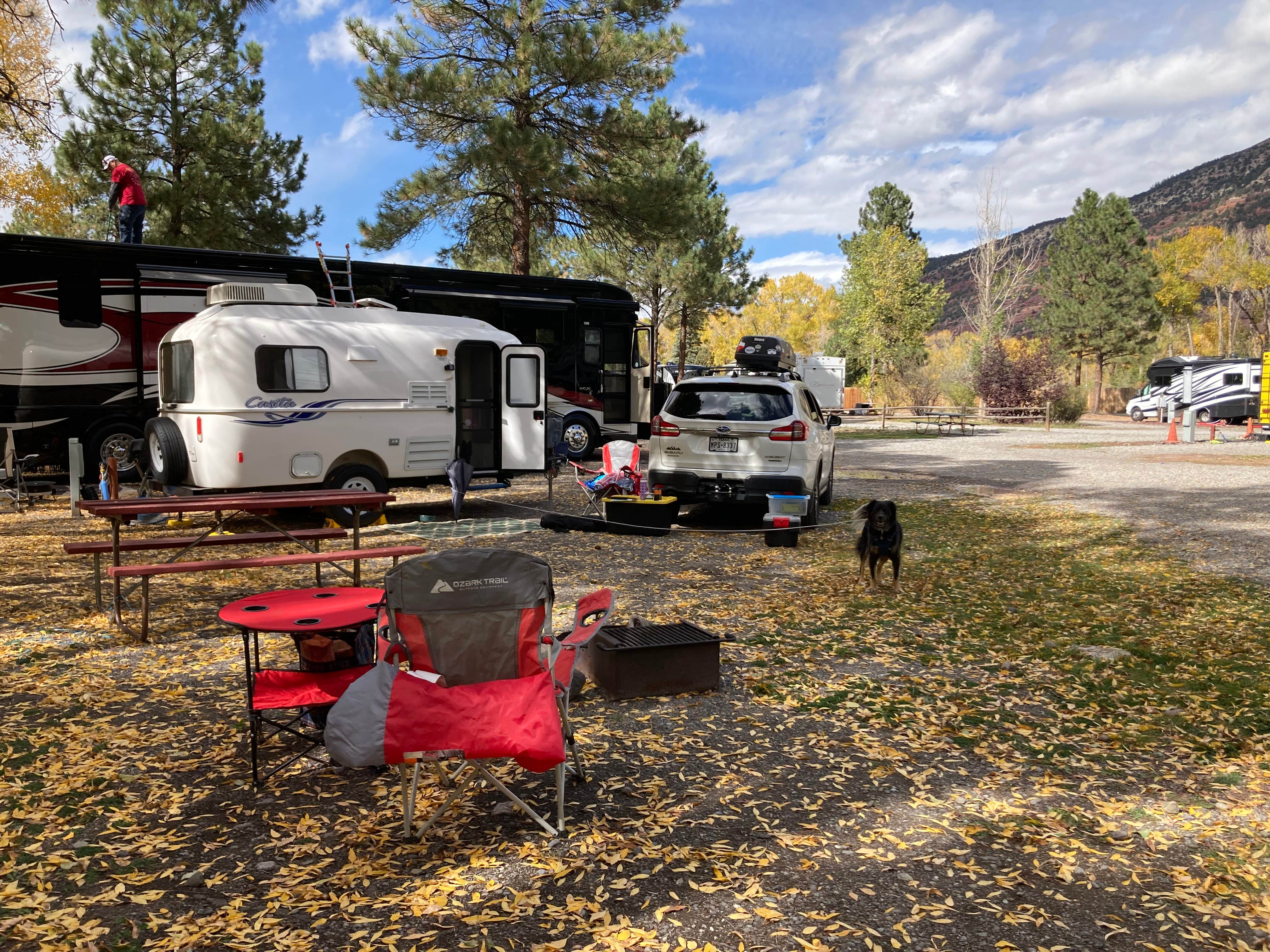 Kristina B.'s photo of camping with pets at Ouray KOA near Ouray, CO