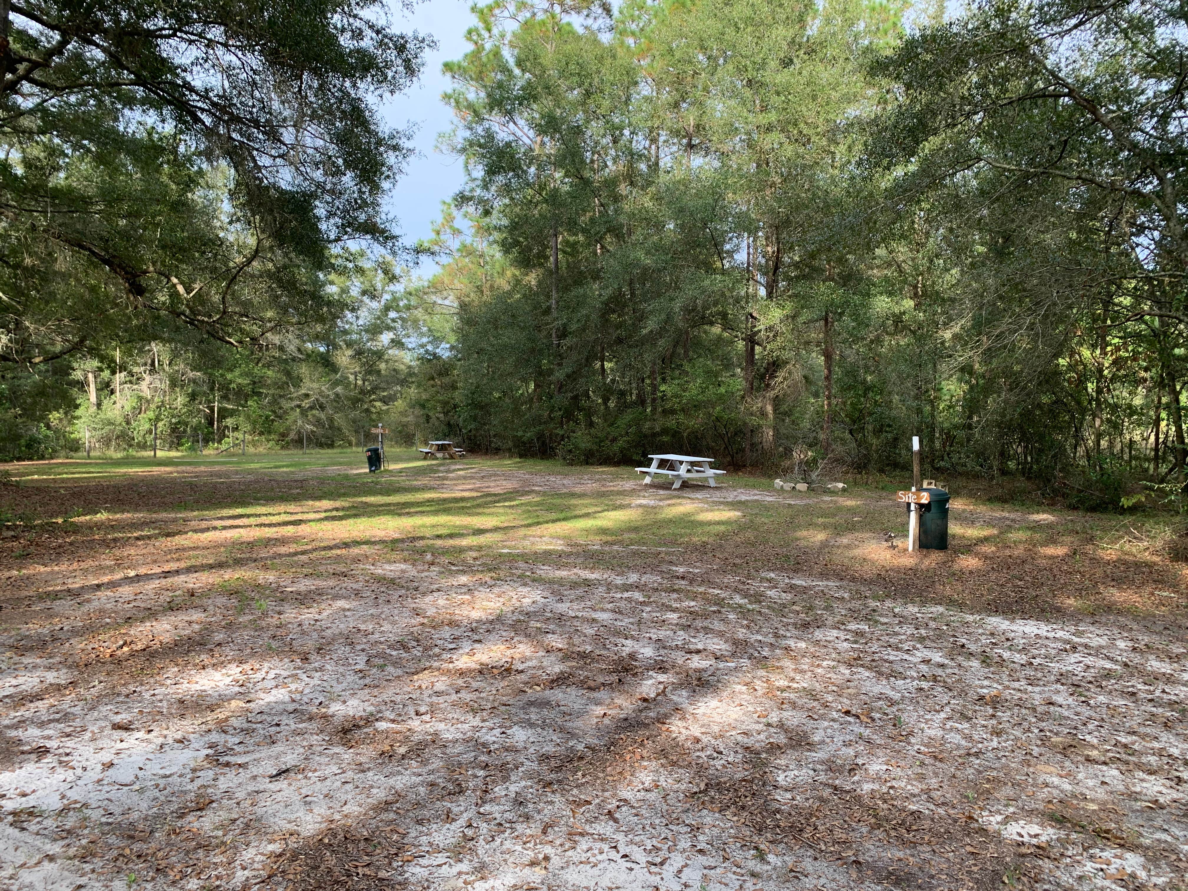 Camper-submitted photo at Camping out in Country  near Trenton, FL