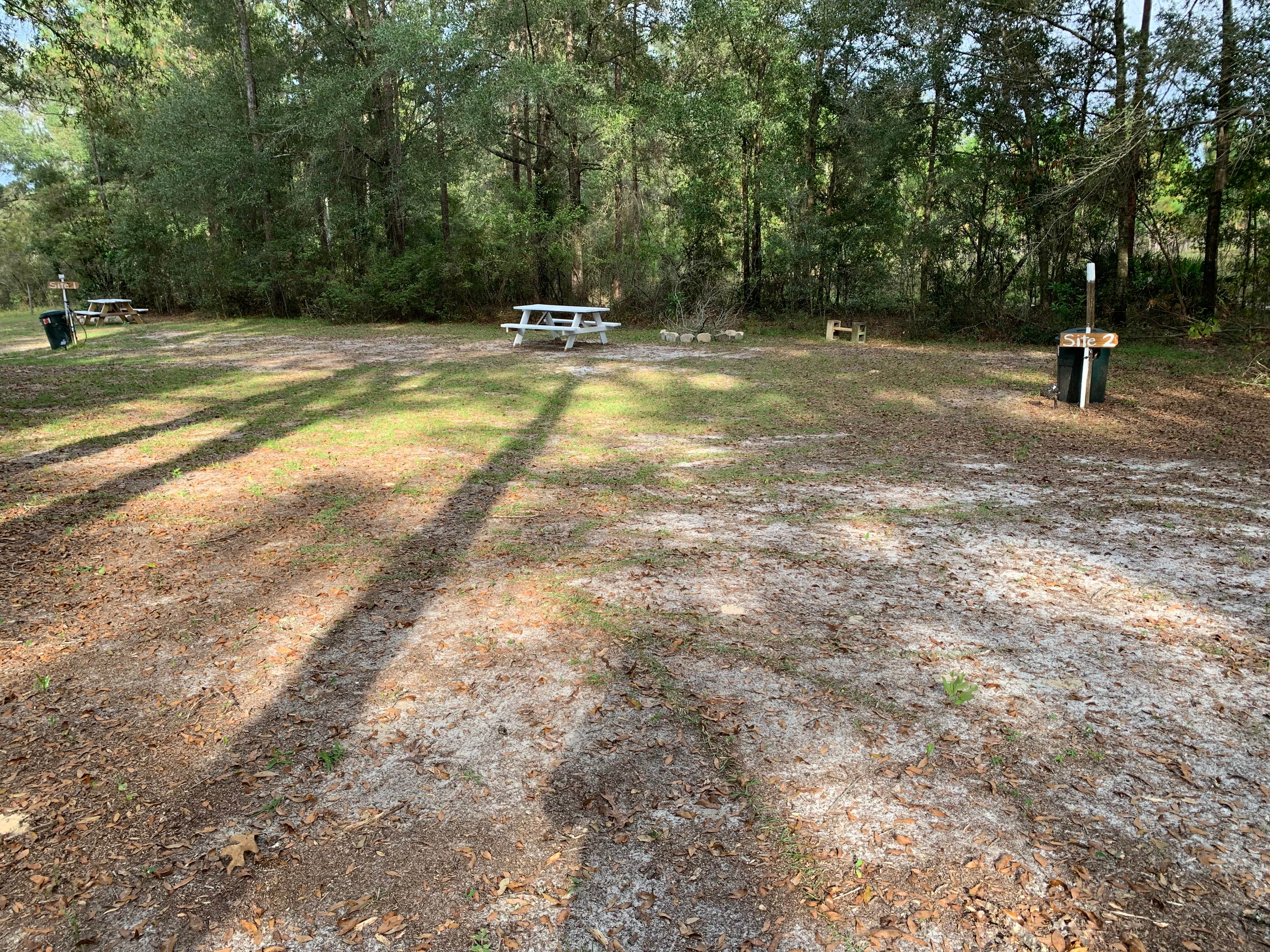 Camper-submitted photo at Camping out in Country  near Trenton, FL