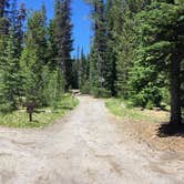 Review photo of Mazama Village Campground — Crater Lake National Park by Celina M., June 28, 2018