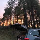 Review photo of FR 306 Dispersed Camping  by Cassidy M., October 25, 2021