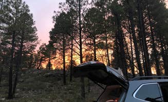 Cassidy M.'s photo of a dispersed camping area at FR 306 Dispersed Camping near Supai, AZ