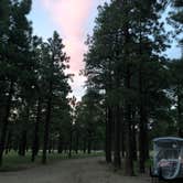 Review photo of Lockett Meadow Dispersed Camping by Cassidy M., October 25, 2021