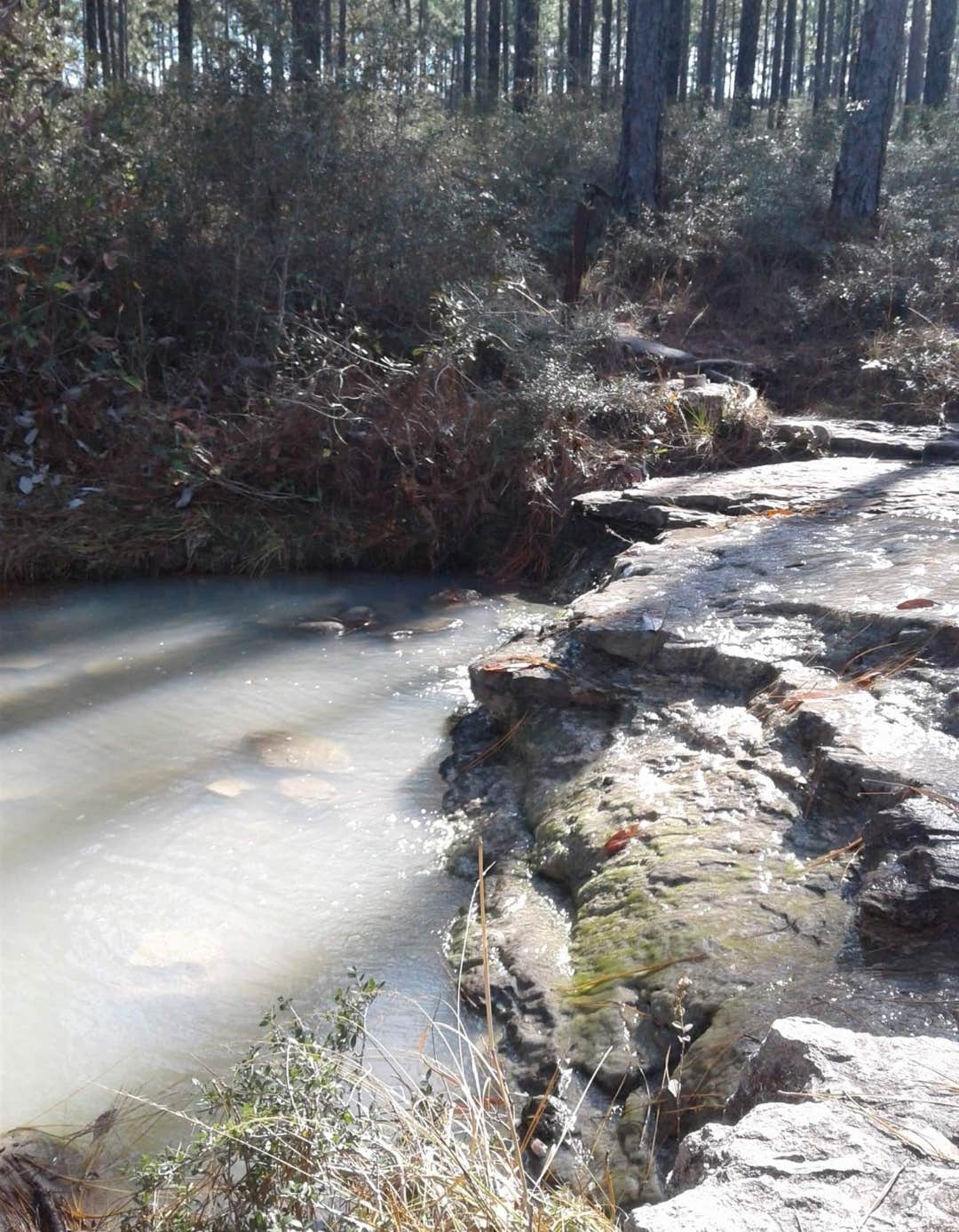 Camper-submitted photo at Kincaid Lake Recreation Area, Camping/Day Use near Pineville, LA