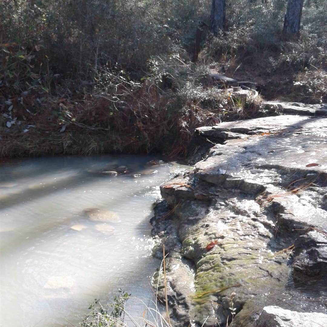 Kincaid Lake Recreation Area, Camping/Day Use Camping The Dyrt