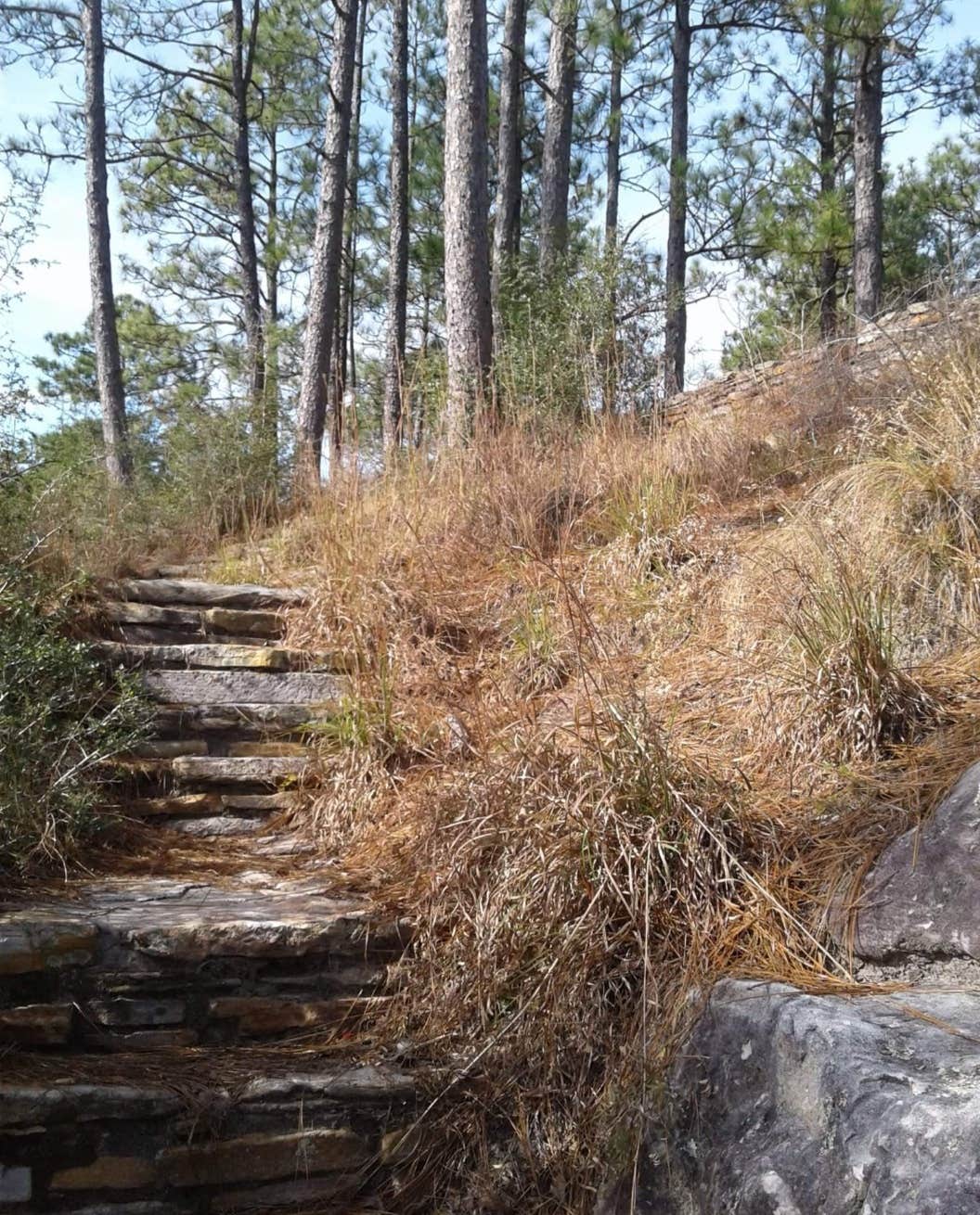 Camper submitted image from Kincaid Lake Recreation Area, Camping/Day Use - 5