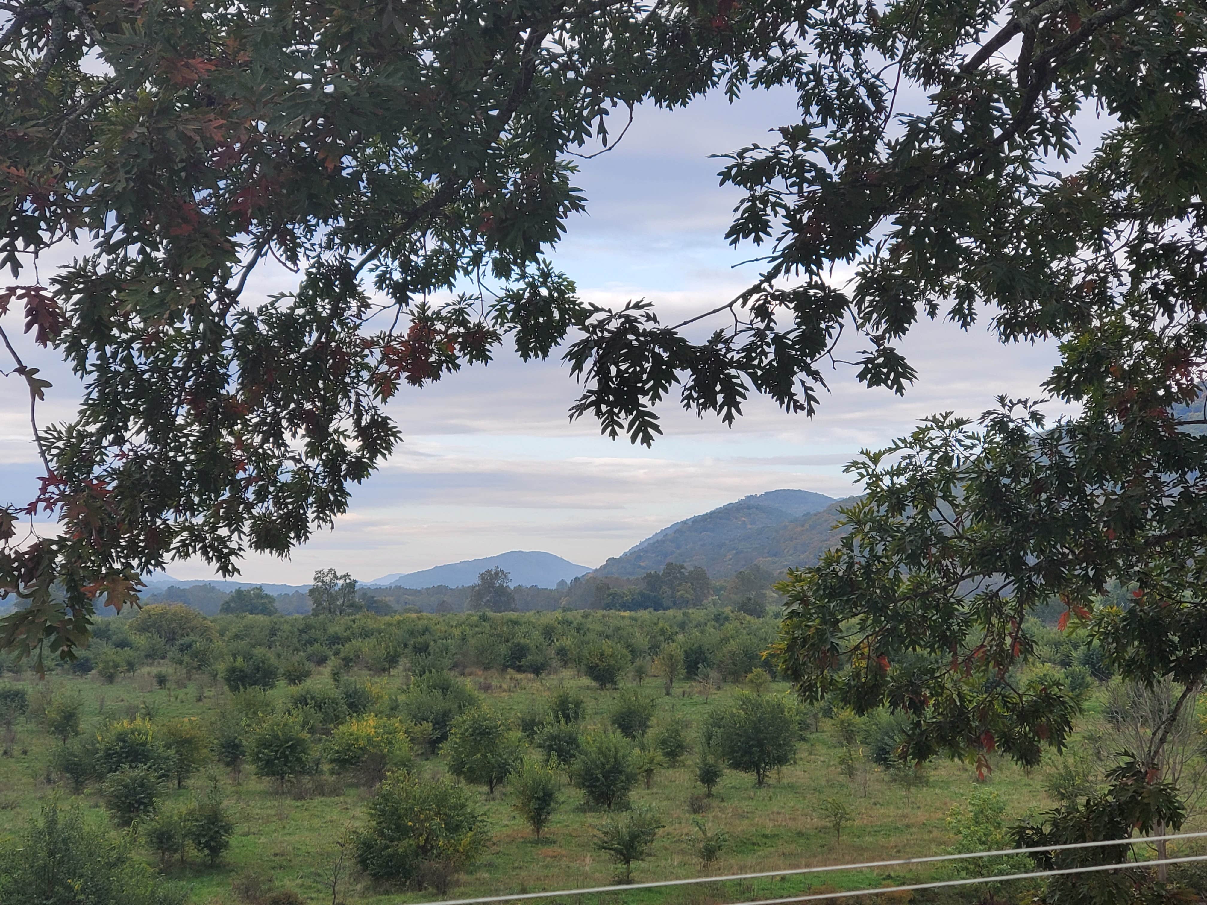 Camper-submitted photo at Wapocoma Campground near Romney, WV