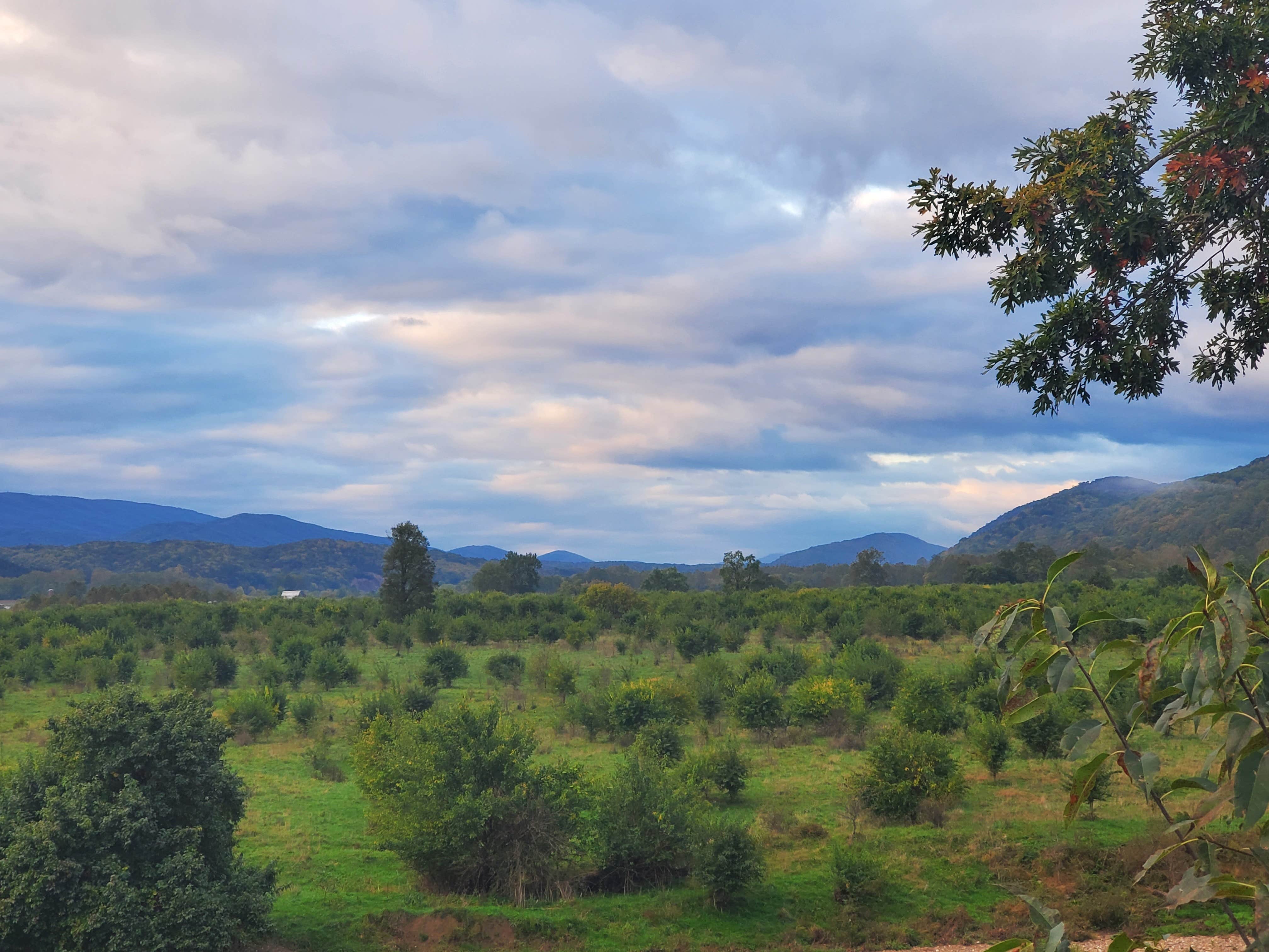Camper-submitted photo at Wapocoma Campground near Romney, WV