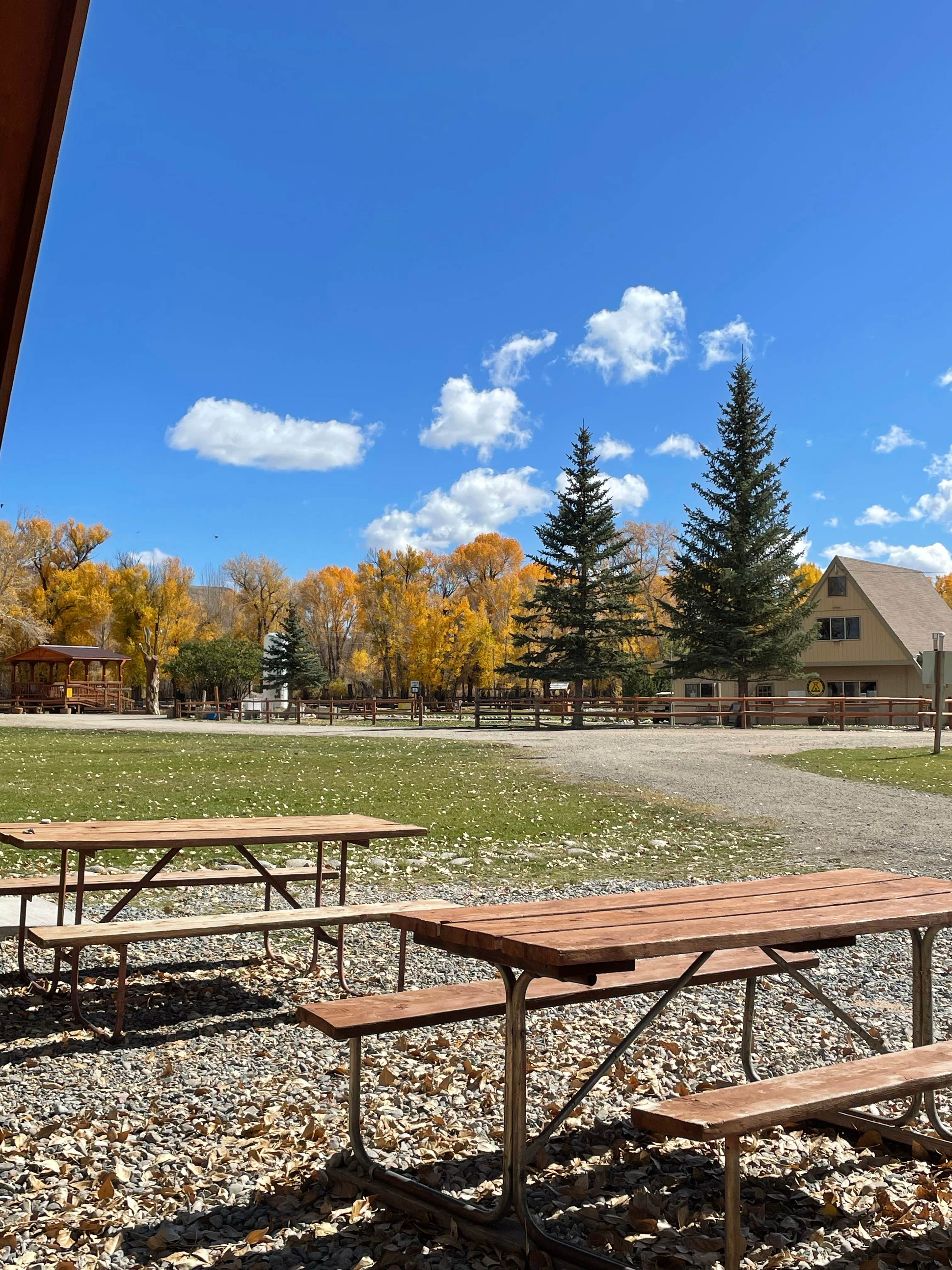Camper submitted image from Gunnison KOA - 3