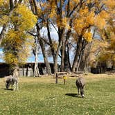 Review photo of Gunnison KOA by Megan  E., October 25, 2021