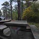 Review photo of A. H. Stephens State Park Campground by Jeff , October 25, 2021