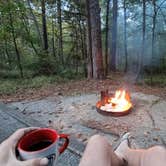 Review photo of A. H. Stephens State Park Campground by Jeff , October 25, 2021