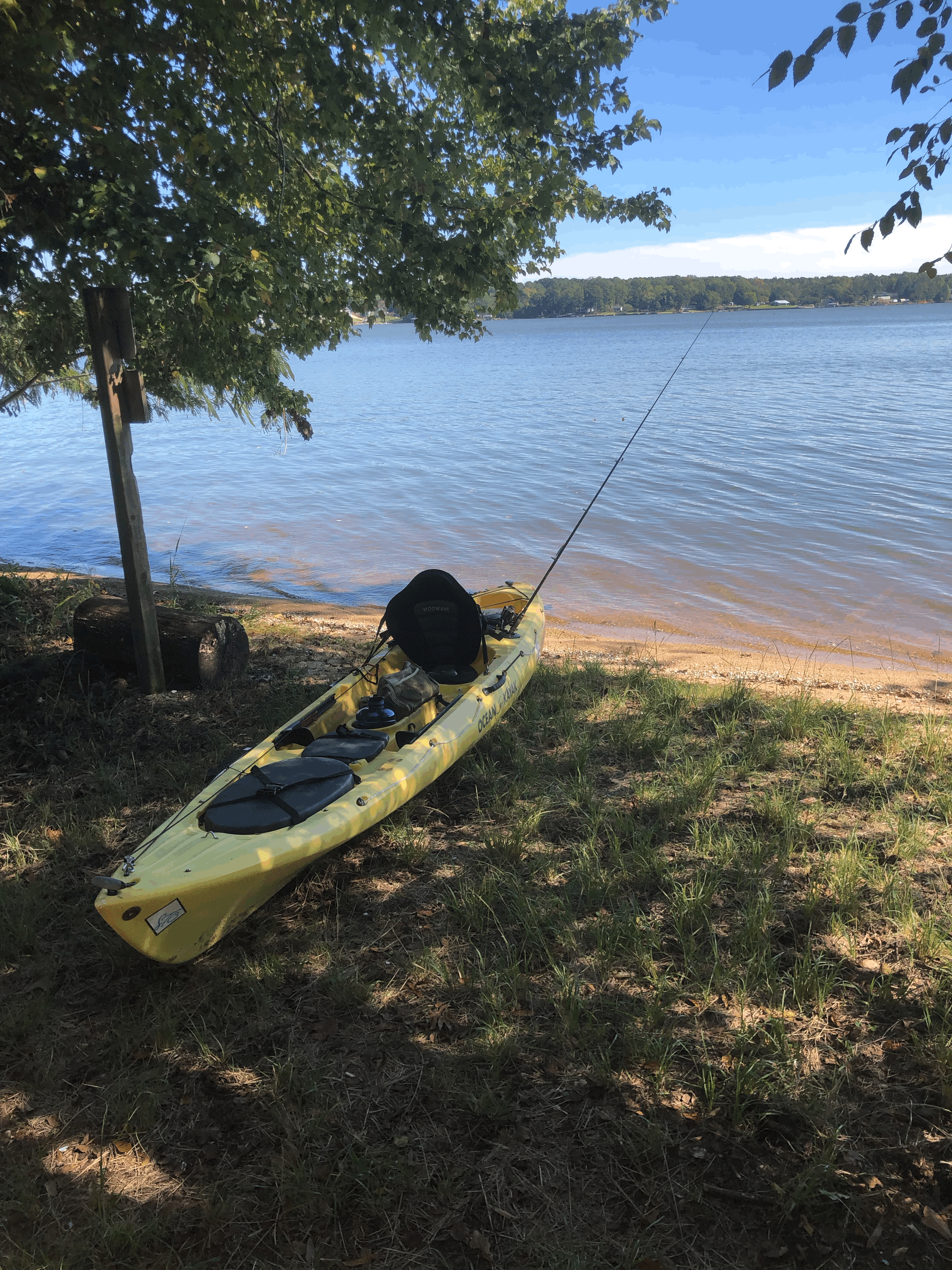 Camper-submitted photo at Goat Island near Glendale, SC