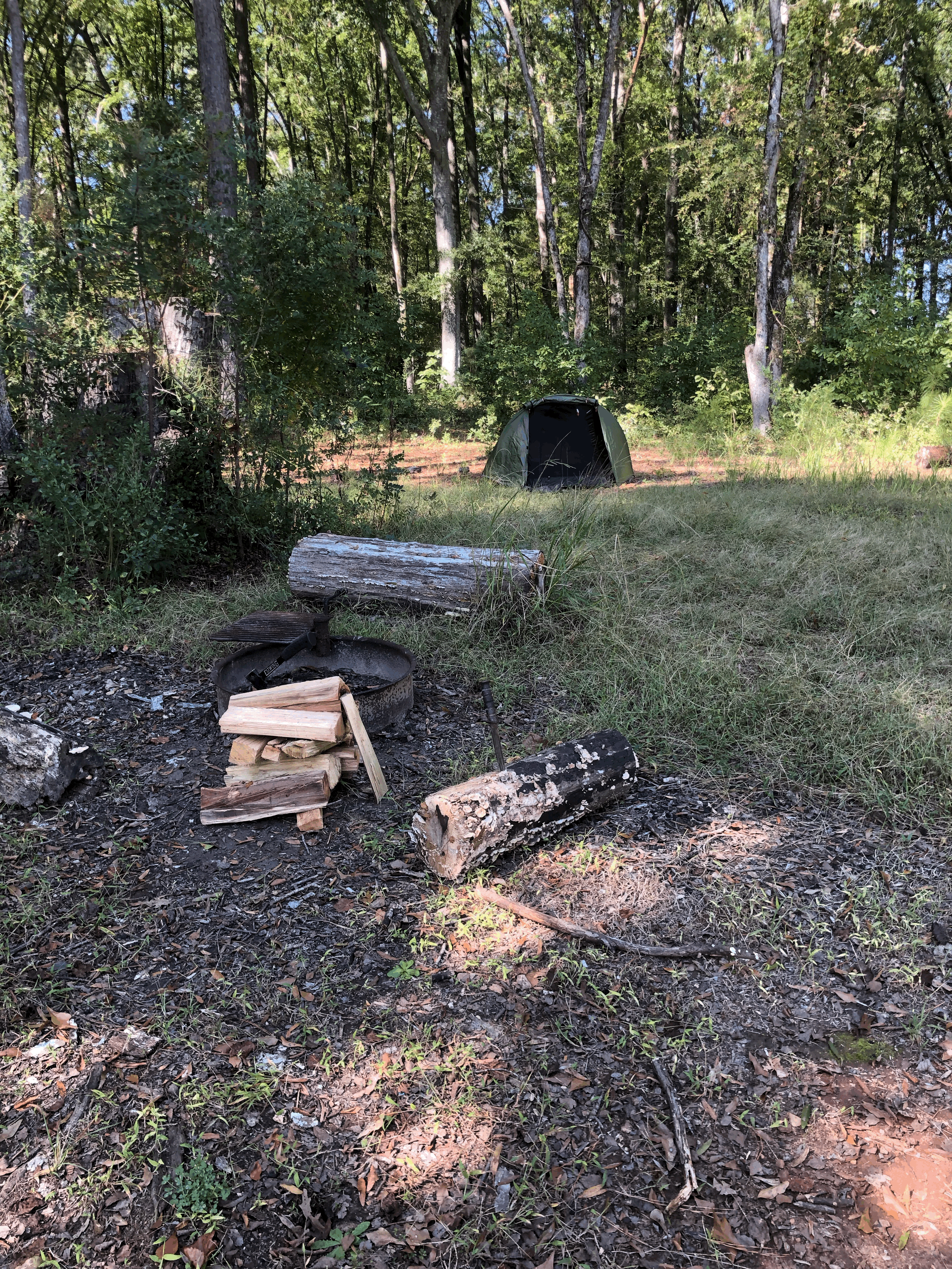 Camper-submitted photo at Goat Island near Glendale, SC