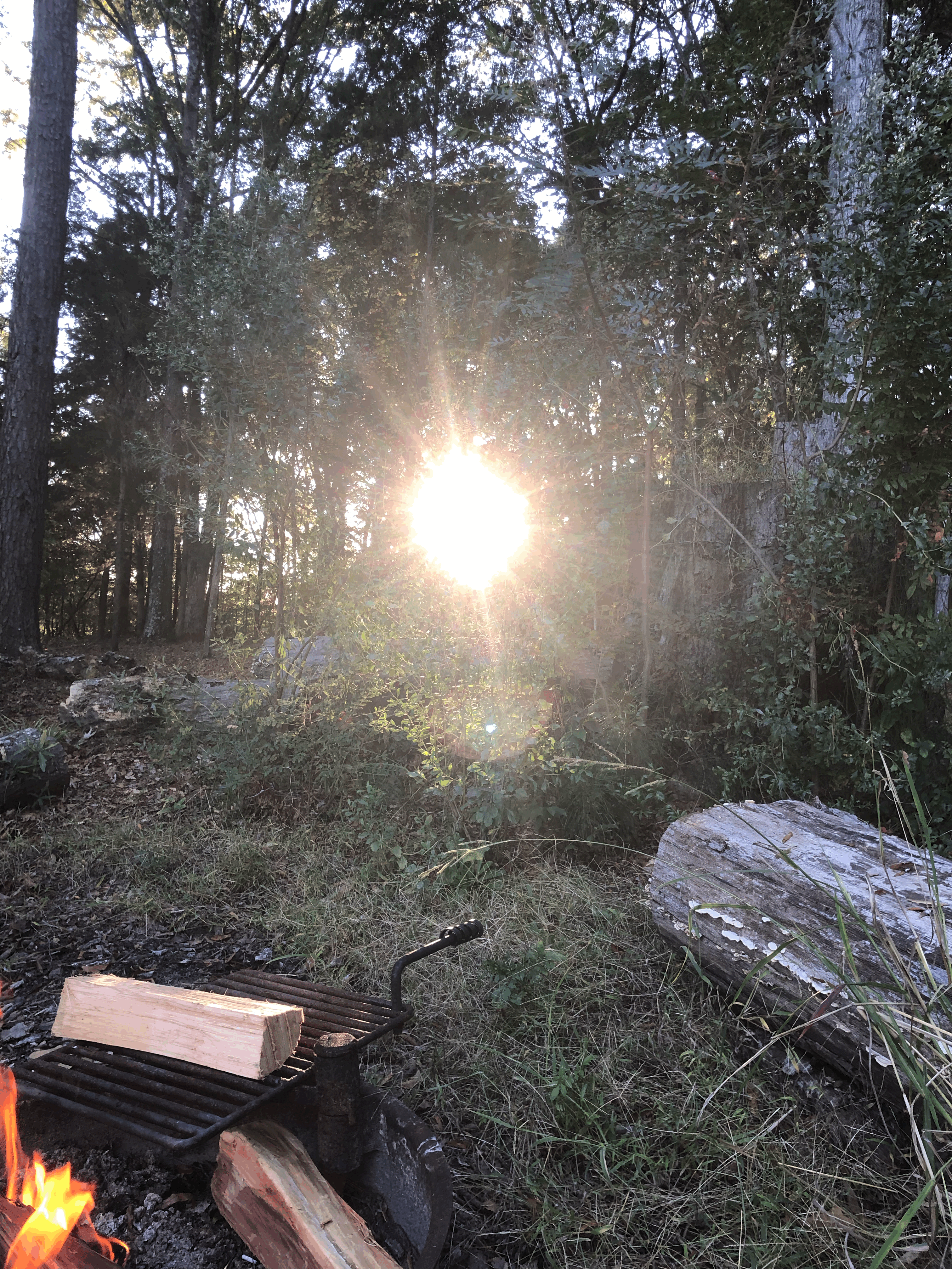 Camper-submitted photo at Goat Island near Glendale, SC