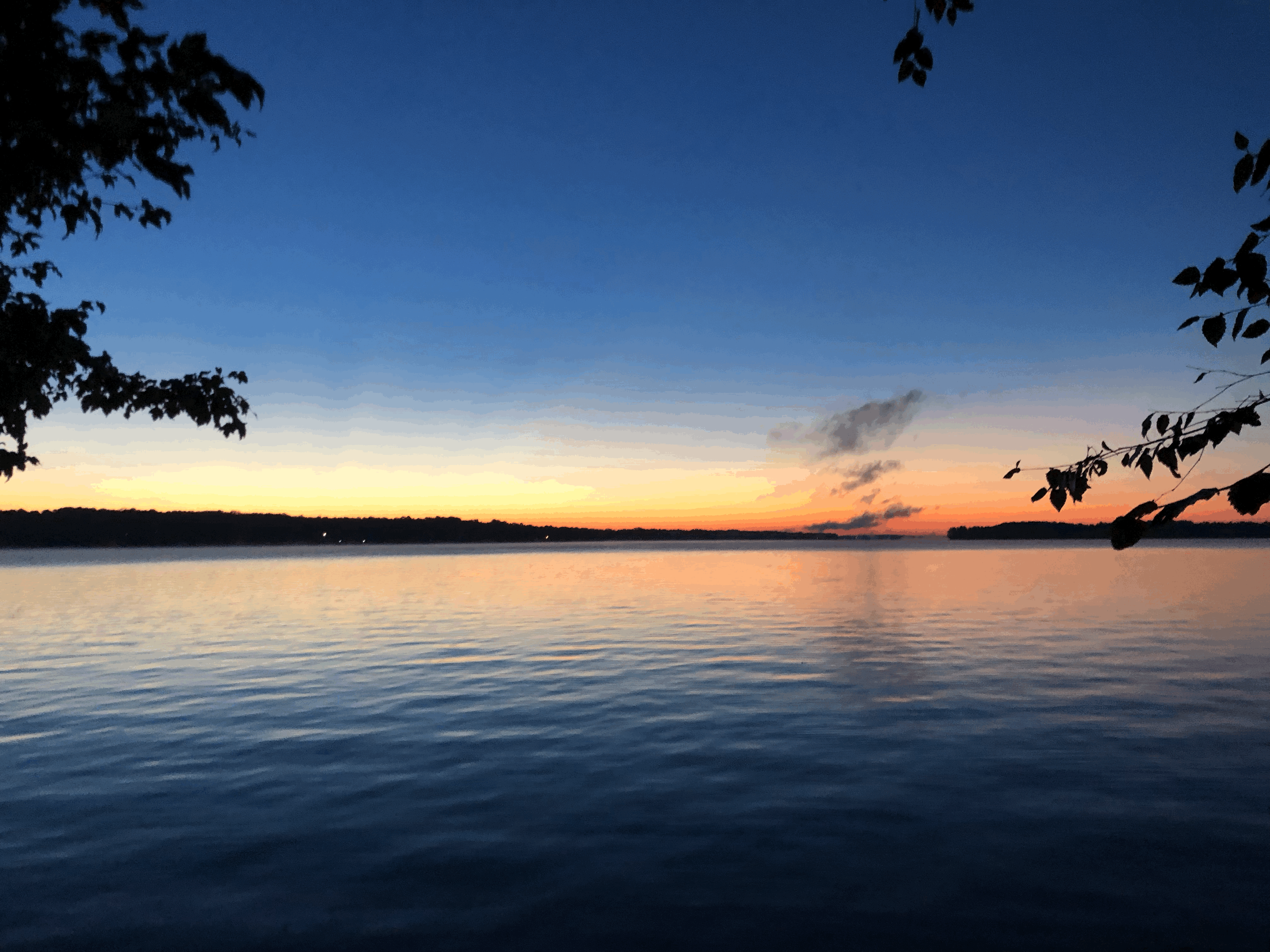 Camper-submitted photo at Goat Island near Glendale, SC