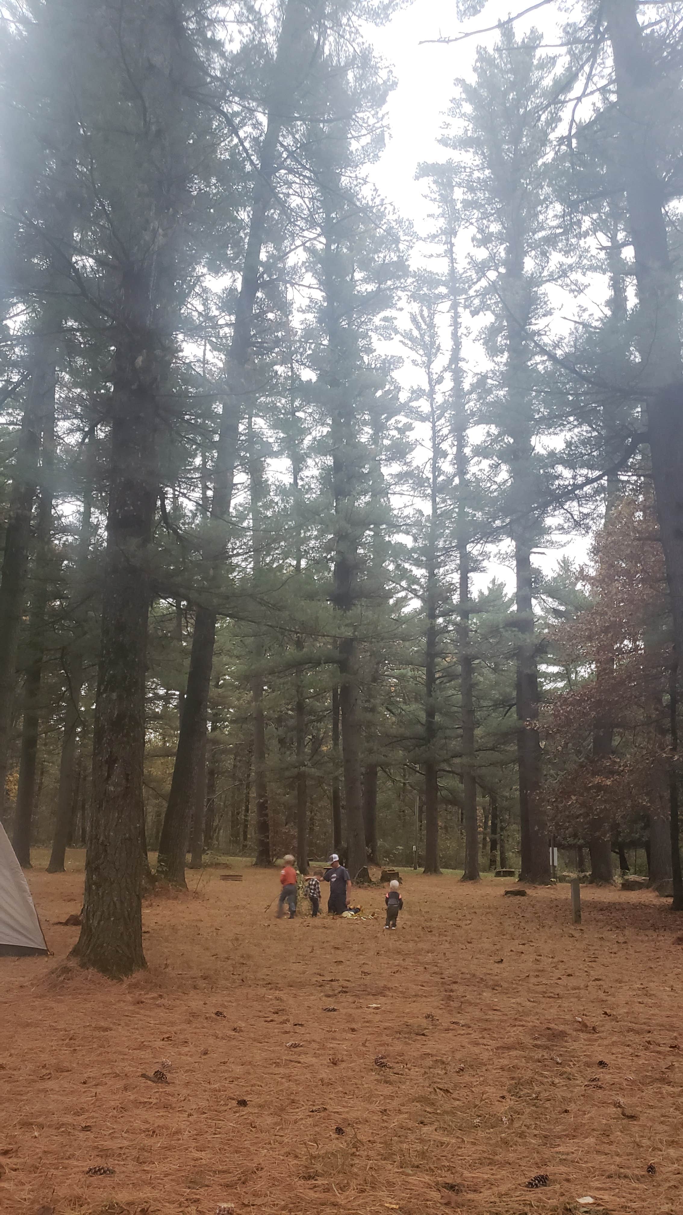 Linz D.'s photo at Kennedy County Park near Camp Douglas, WI