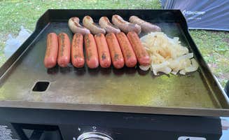 Shannon G.'s photo of camping with pets at A.W. Marion State Park Campground near Paint Creek Lake