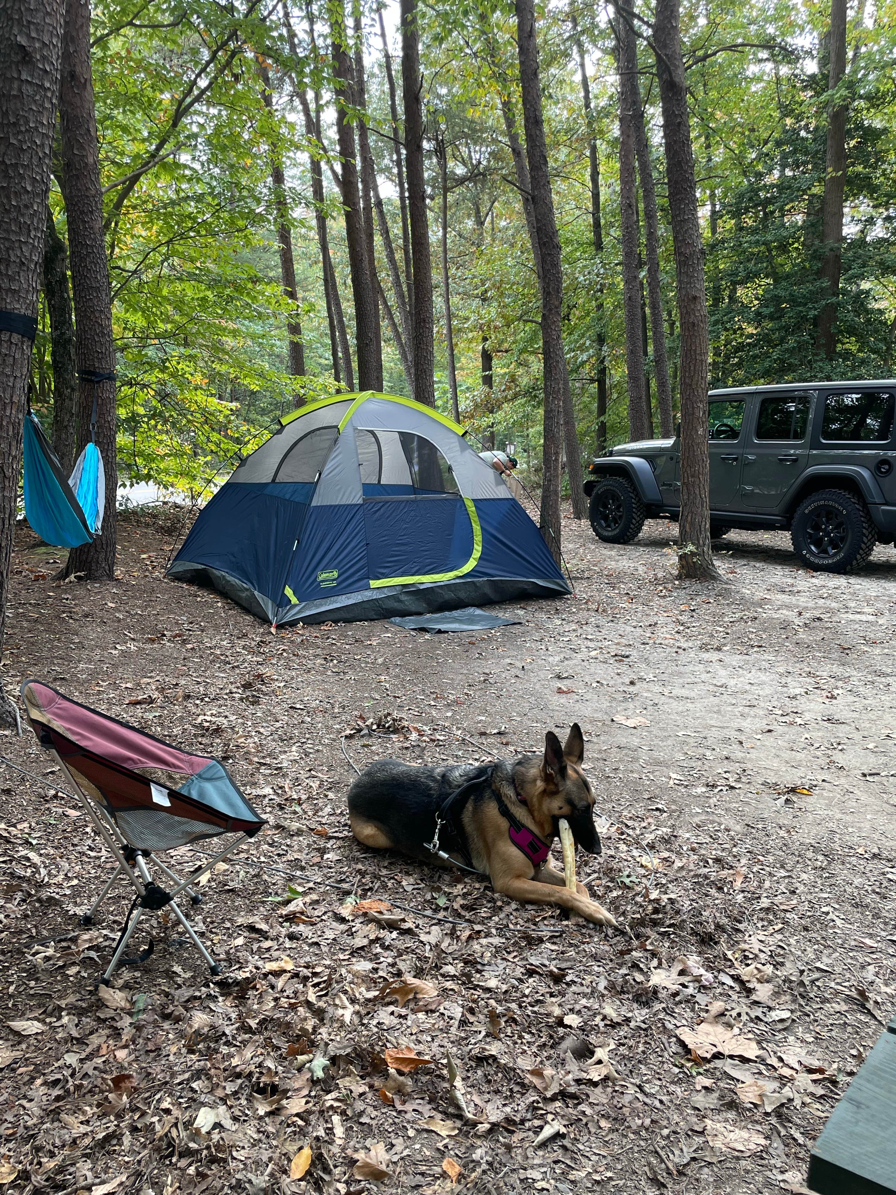 David D.'s photo at Pohick Bay Campground near Vienna, VA