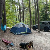 Review photo of Pohick Bay Campground by David D., October 25, 2021