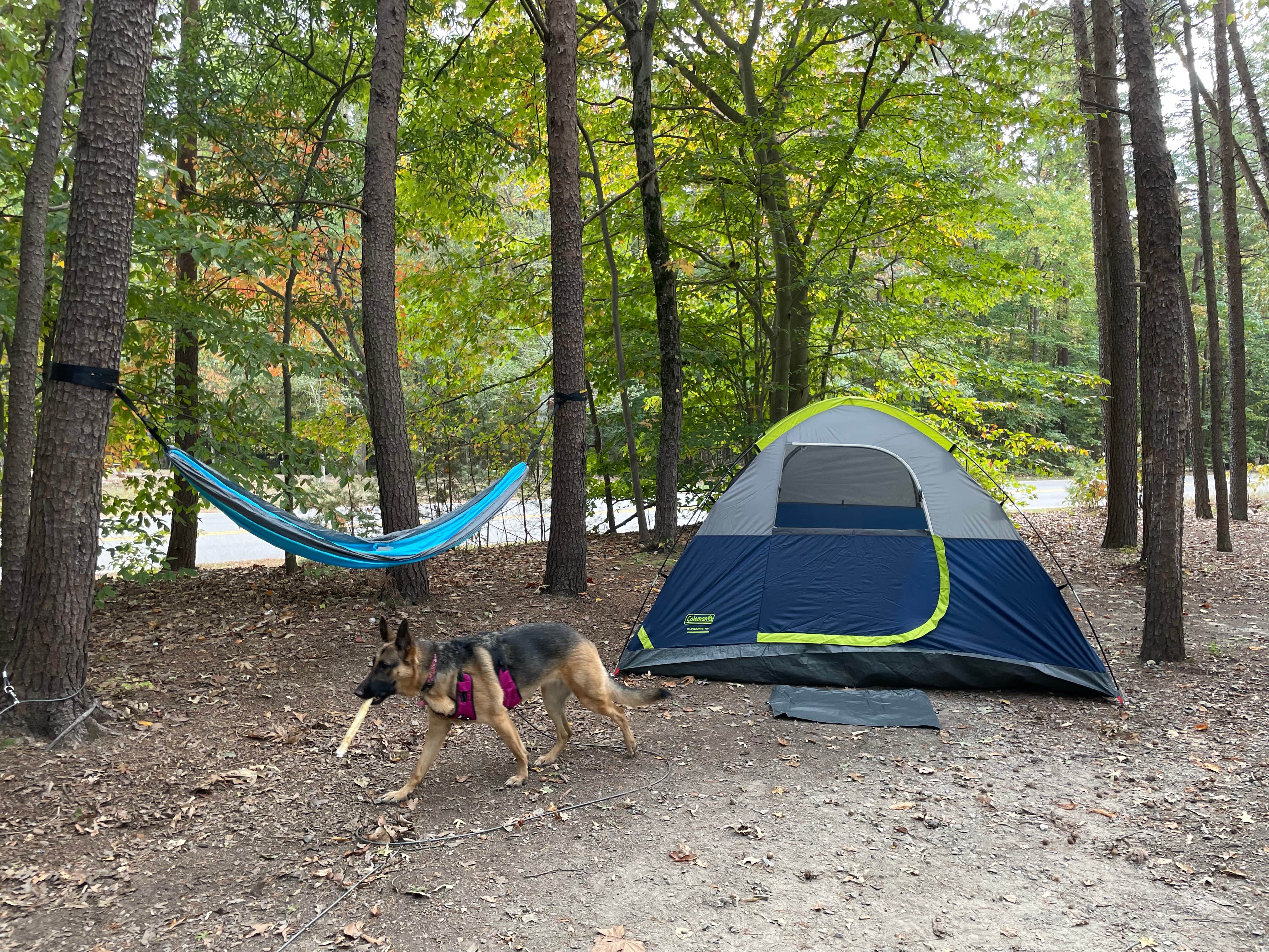 David D.'s photo at Pohick Bay Campground near Hughesville, MD
