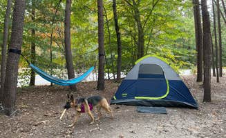 David D.'s photo of camping with pets at Pohick Bay Campground near Rose Hill, VA