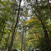 Review photo of Pohick Bay Campground by David D., October 25, 2021