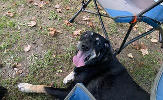 Shannon G.'s photo at East Fork State Park Campground near Fort Mitchell, KY