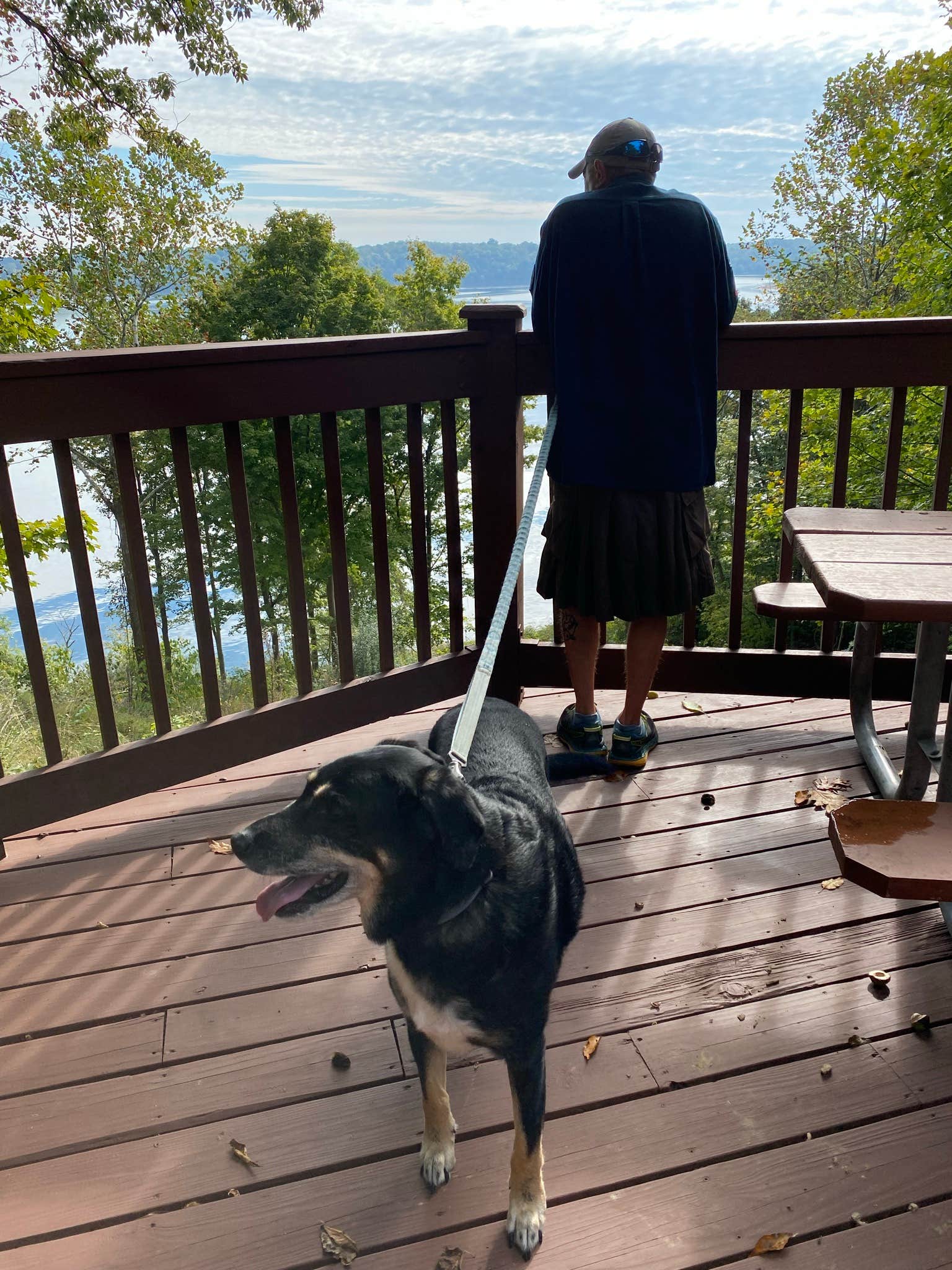 Shannon G.'s photo of camping with pets at East Fork State Park Campground near Lynx, OH