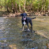 Review photo of East Fork State Park Campground by Shannon G., October 25, 2021