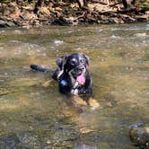 Review photo of East Fork State Park Campground by Shannon G., October 25, 2021