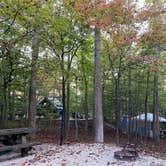 Review photo of Zilpo Campground by Shannon G., October 25, 2021