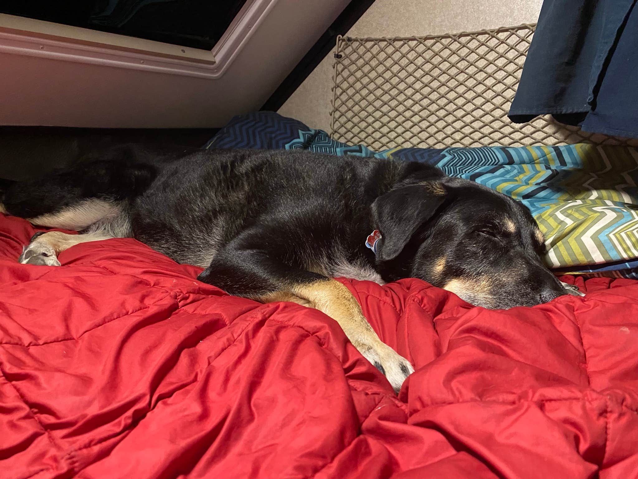 Shannon G.'s photo of glamping accommodations at Zilpo Campground near Denniston, KY