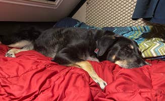 Shannon G.'s photo of glamping accommodations at Zilpo Campground near Auxier, KY