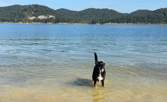 Shannon G.'s photo of camping with pets at Zilpo Campground near Clearfield, KY