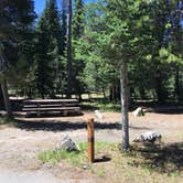 Review photo of Mazama Village Campground — Crater Lake National Park by Celina M., June 28, 2018