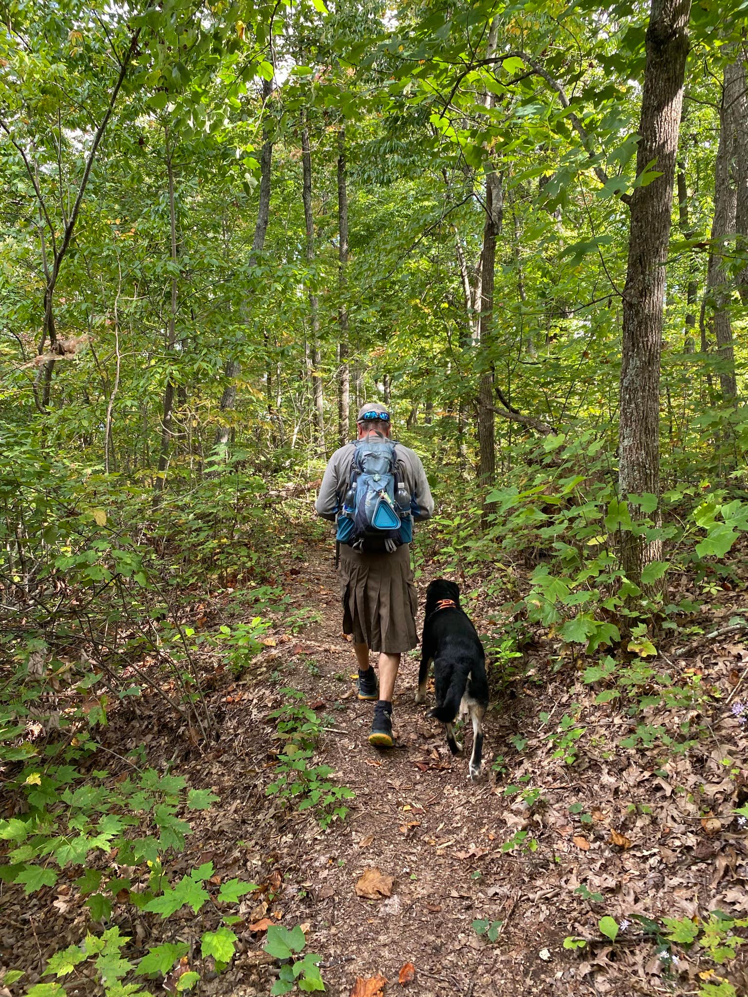 Shannon G.'s photo of camping with pets at Zilpo Campground near Sandy Hook, KY