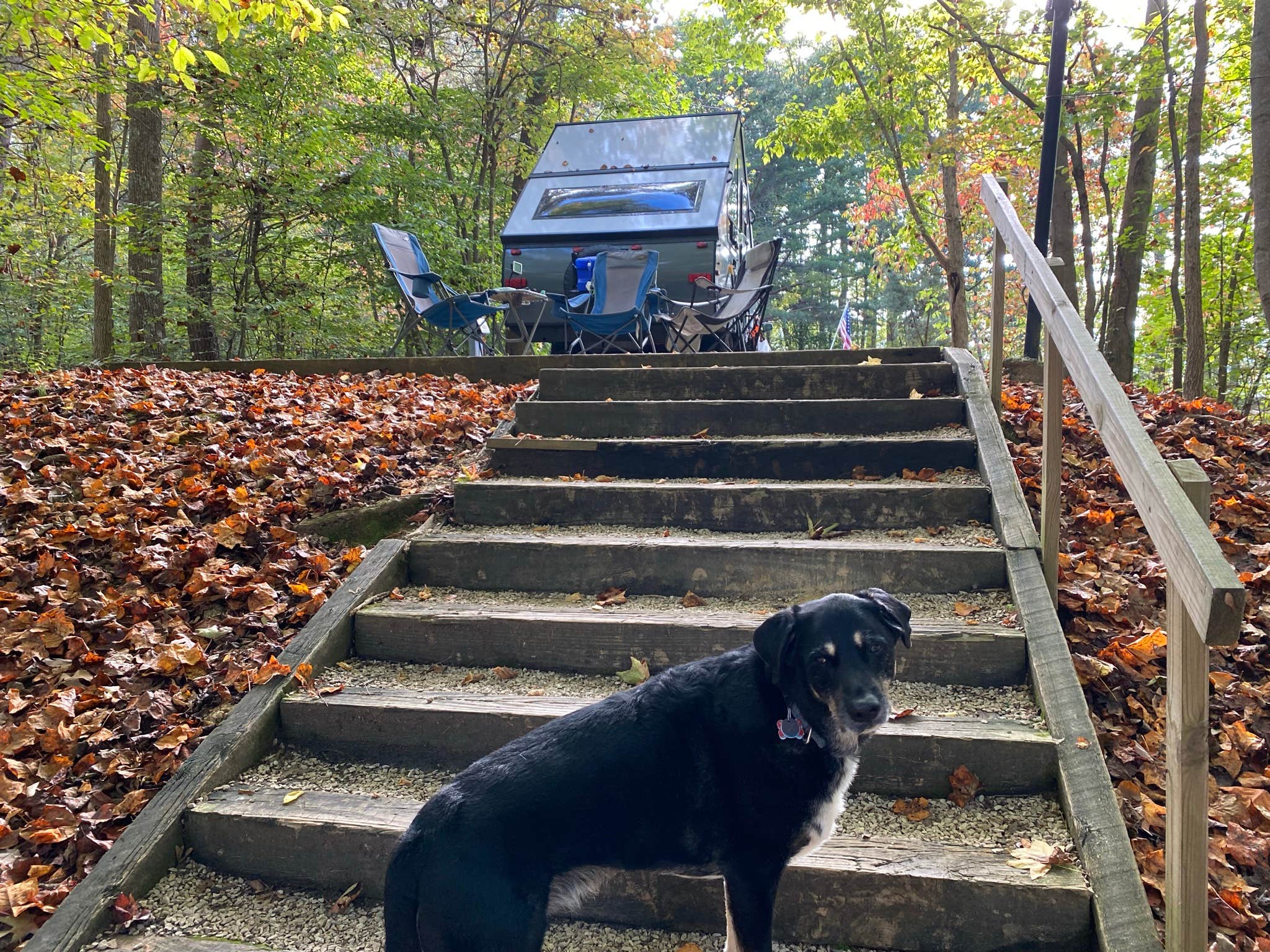 Shannon G.'s photo of camping with pets at Zilpo Campground near Daniel Boone National Forest