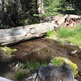 Review photo of Lost Lake Resort And Campground — Mt. Hood National Forest by Celina M., July 5, 2018